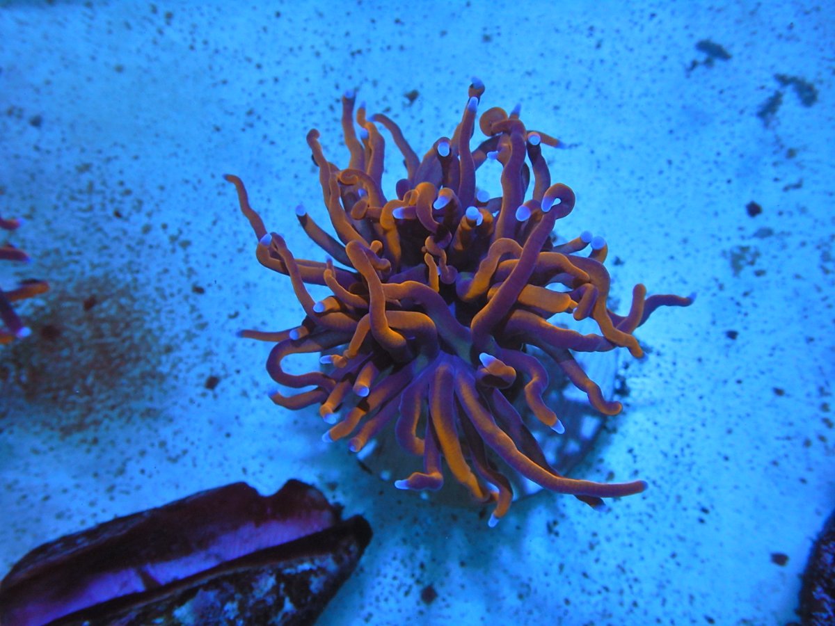 DSCN2495.JPG