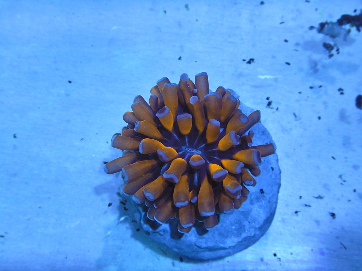 DSCN2521.JPG