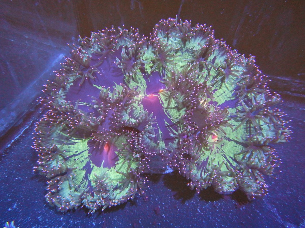 DSCN2525.JPG
