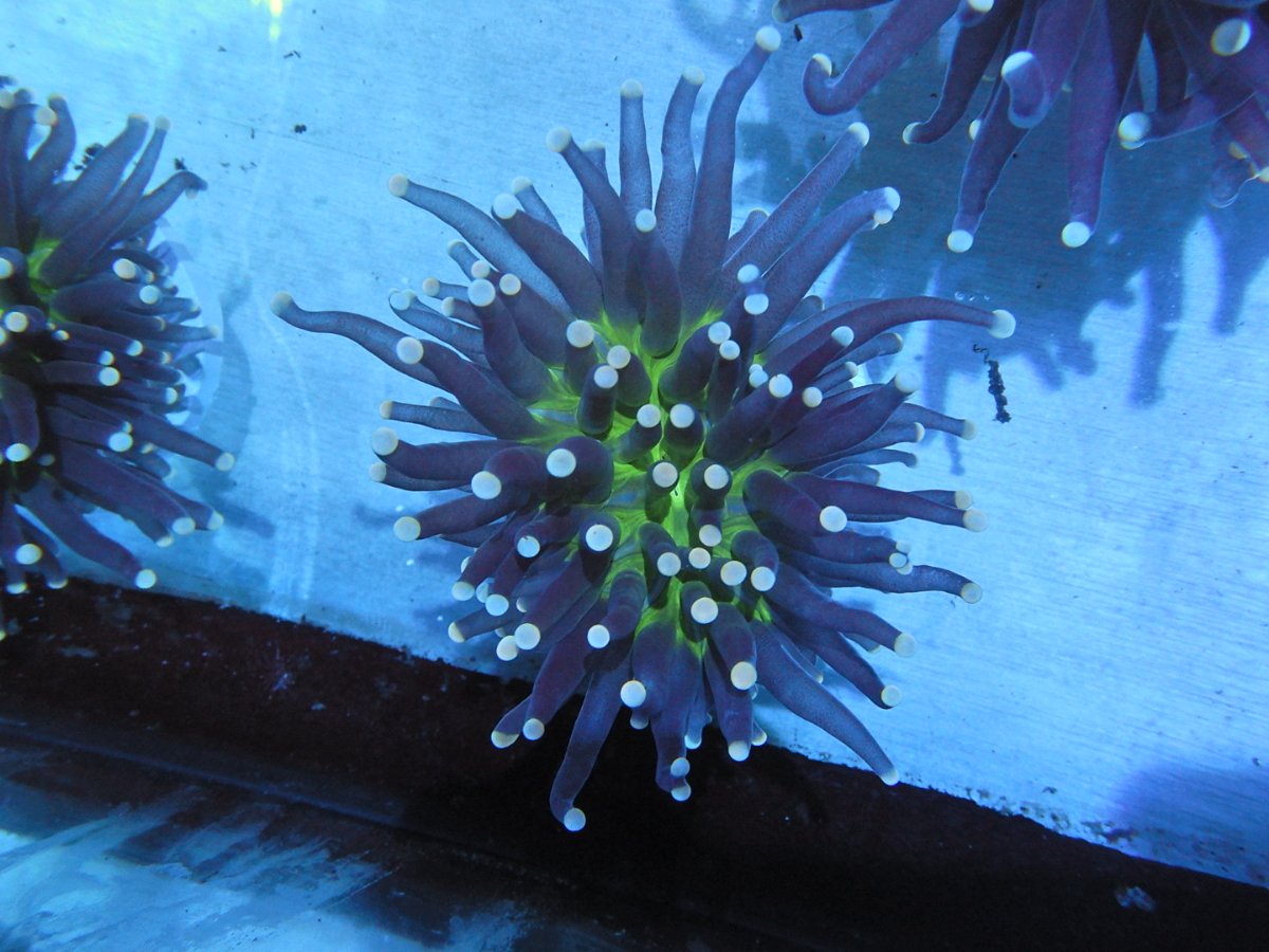 DSCN2537.JPG