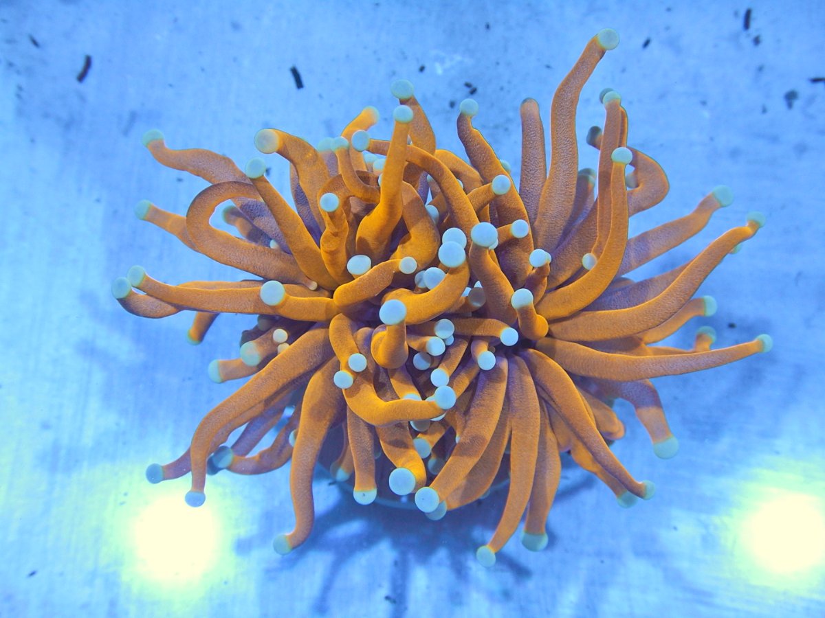 DSCN2539.JPG