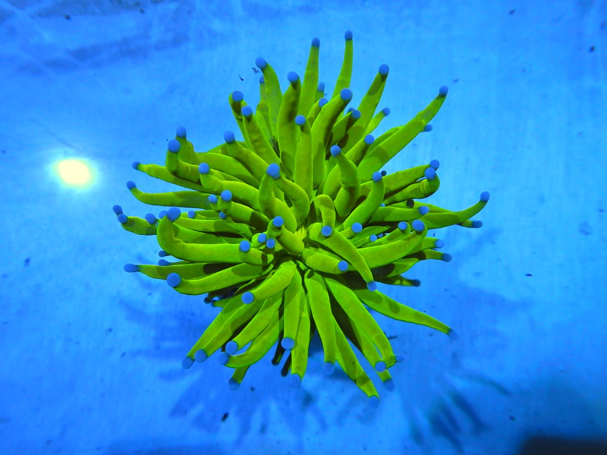 DSCN2581_1.JPG