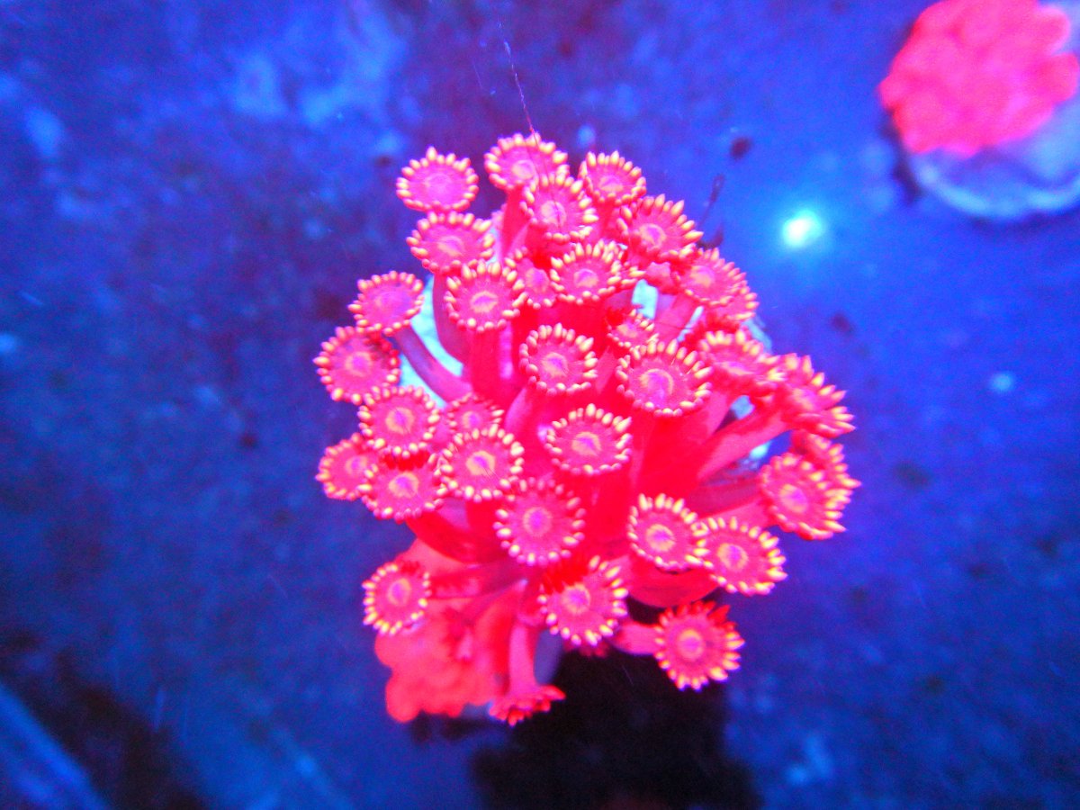 DSCN2685.JPG