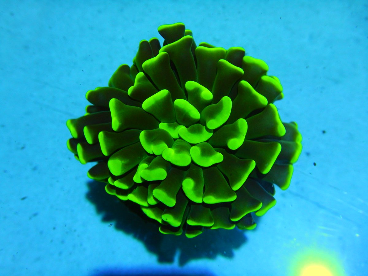 DSCN2736.JPG