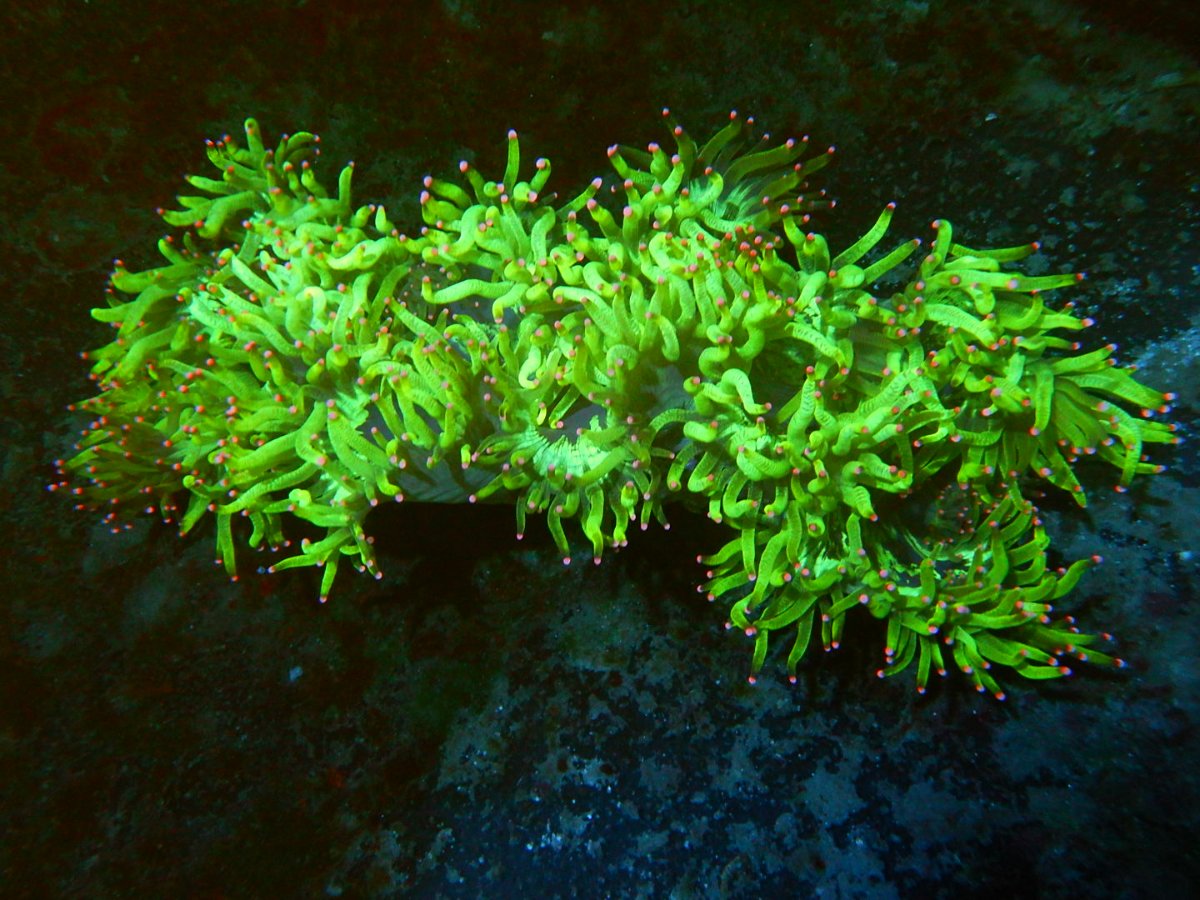 DSCN2741.JPG