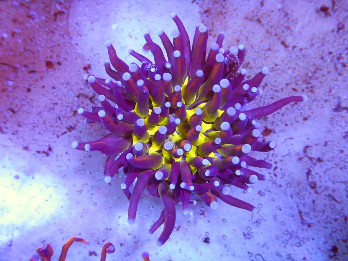 DSCN2748.JPG