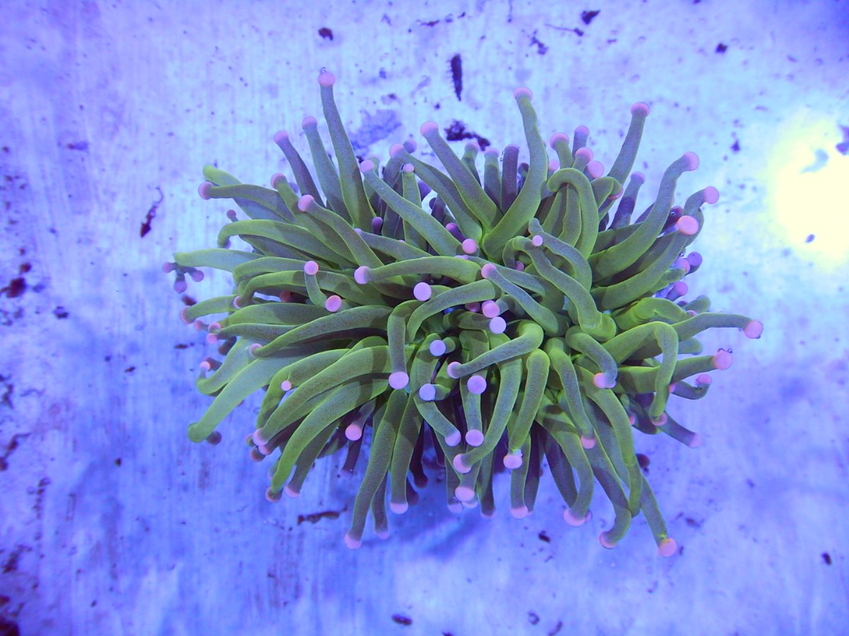 DSCN2749.JPG