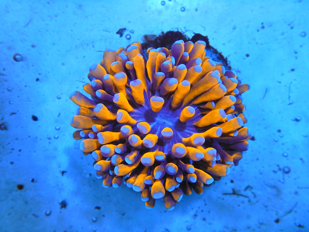DSCN2815.JPG
