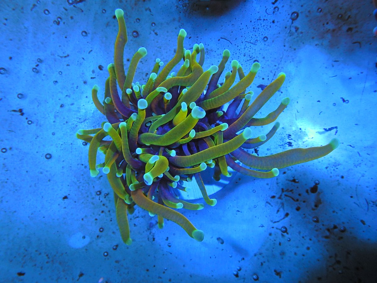 DSCN2817.JPG