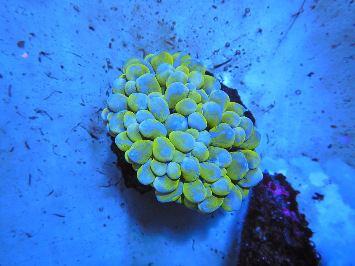 DSCN2818.JPG