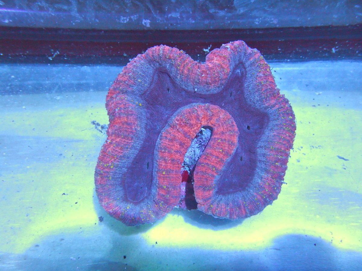 DSCN2845.JPG