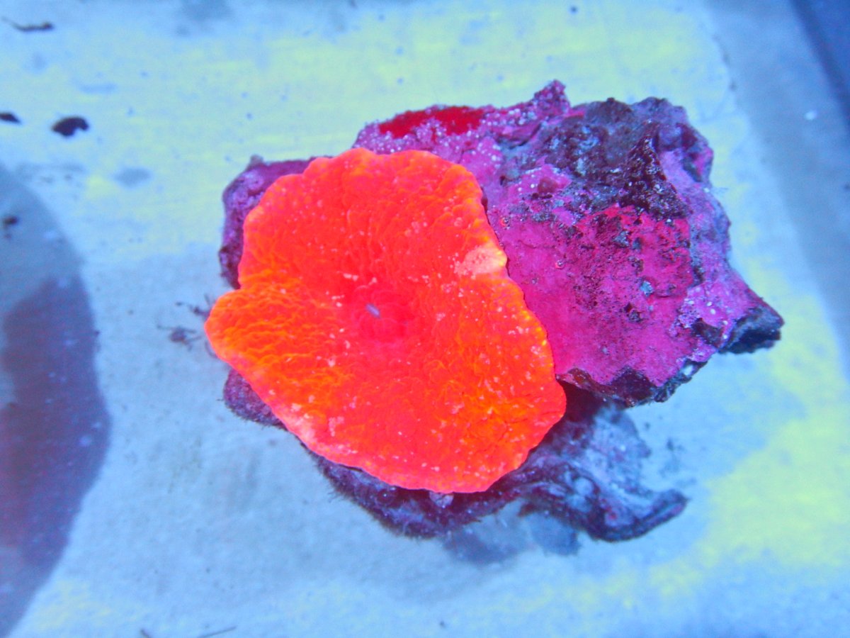 DSCN2853.JPG