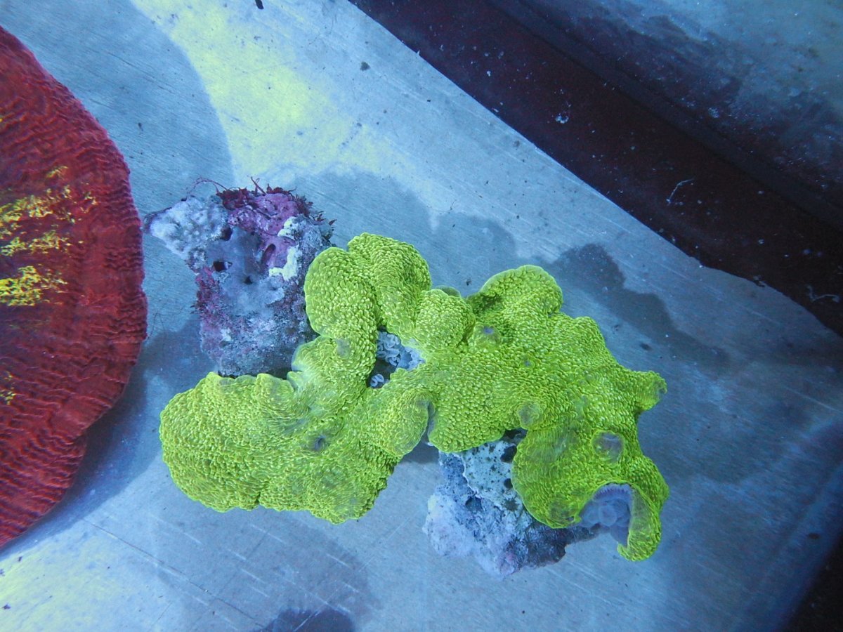 DSCN2855.JPG