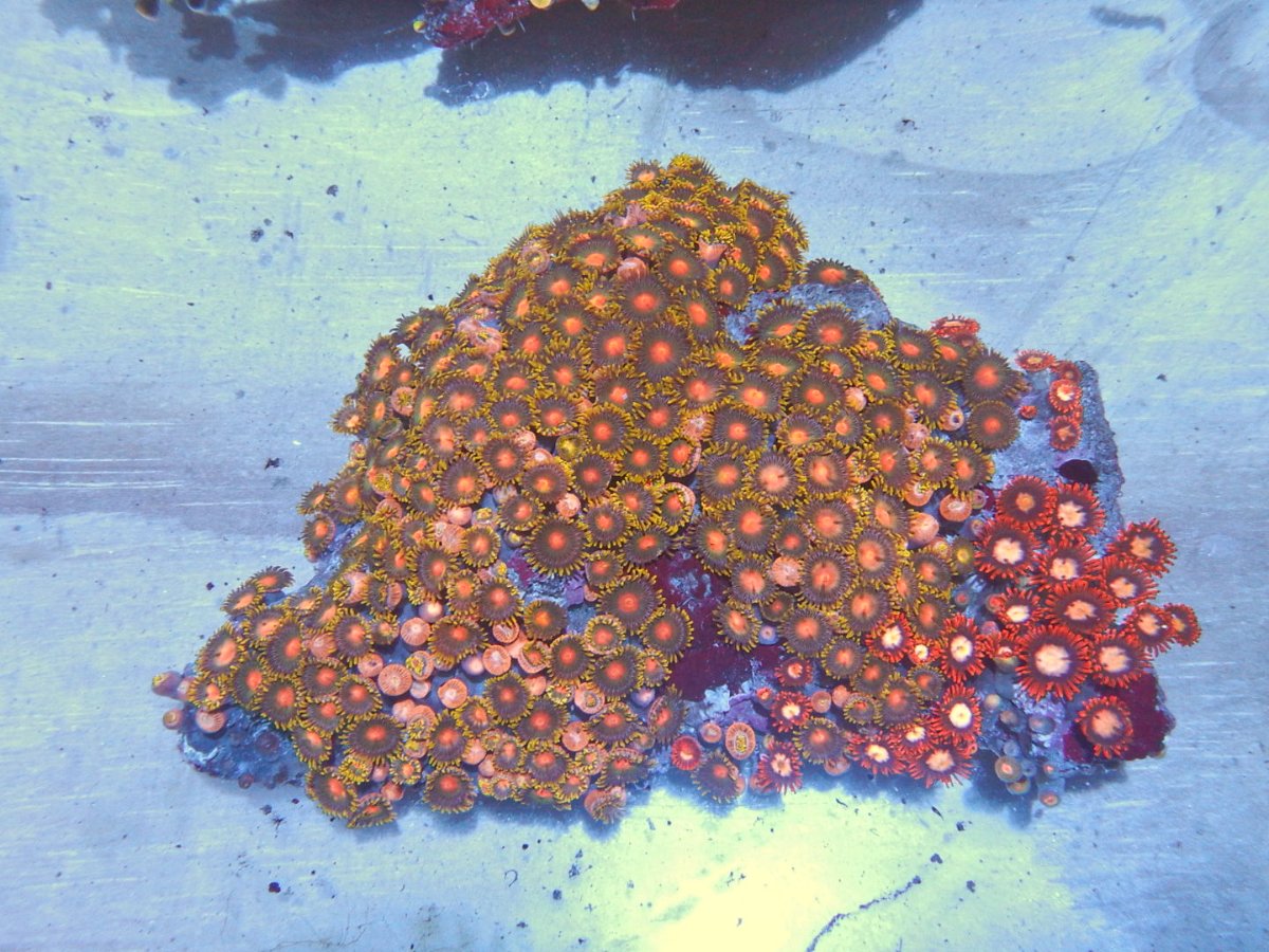 DSCN2858.JPG