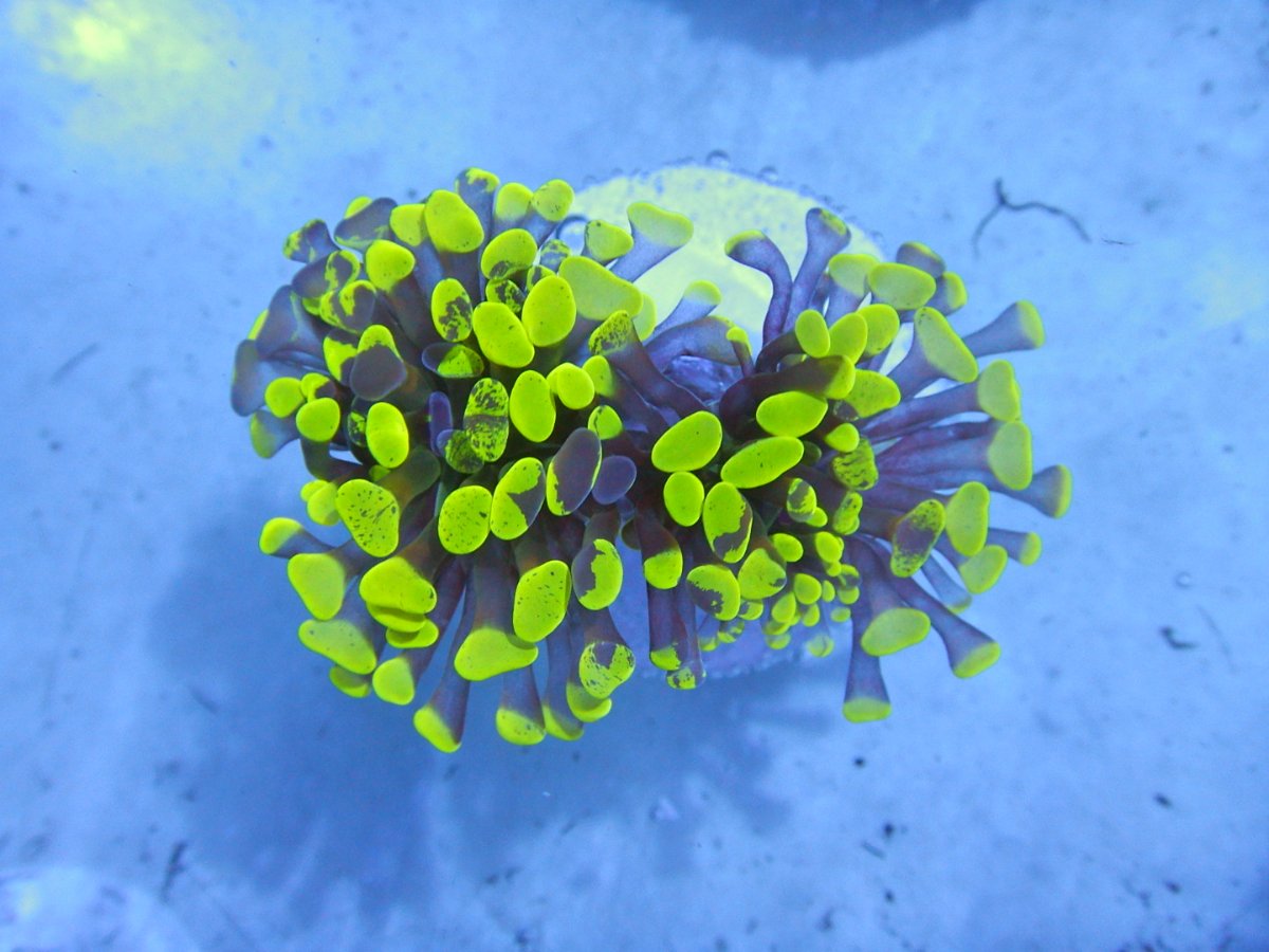 DSCN2866.JPG
