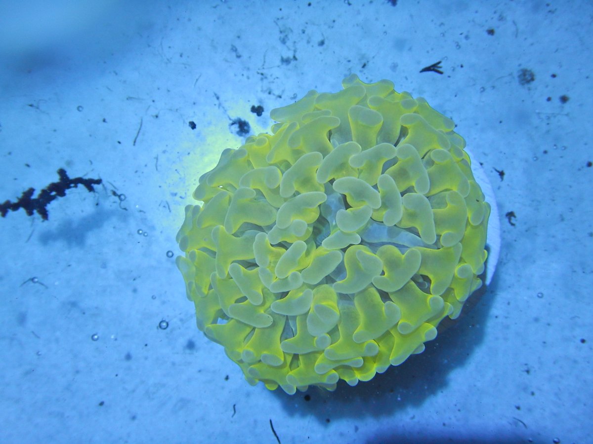 DSCN2867.JPG