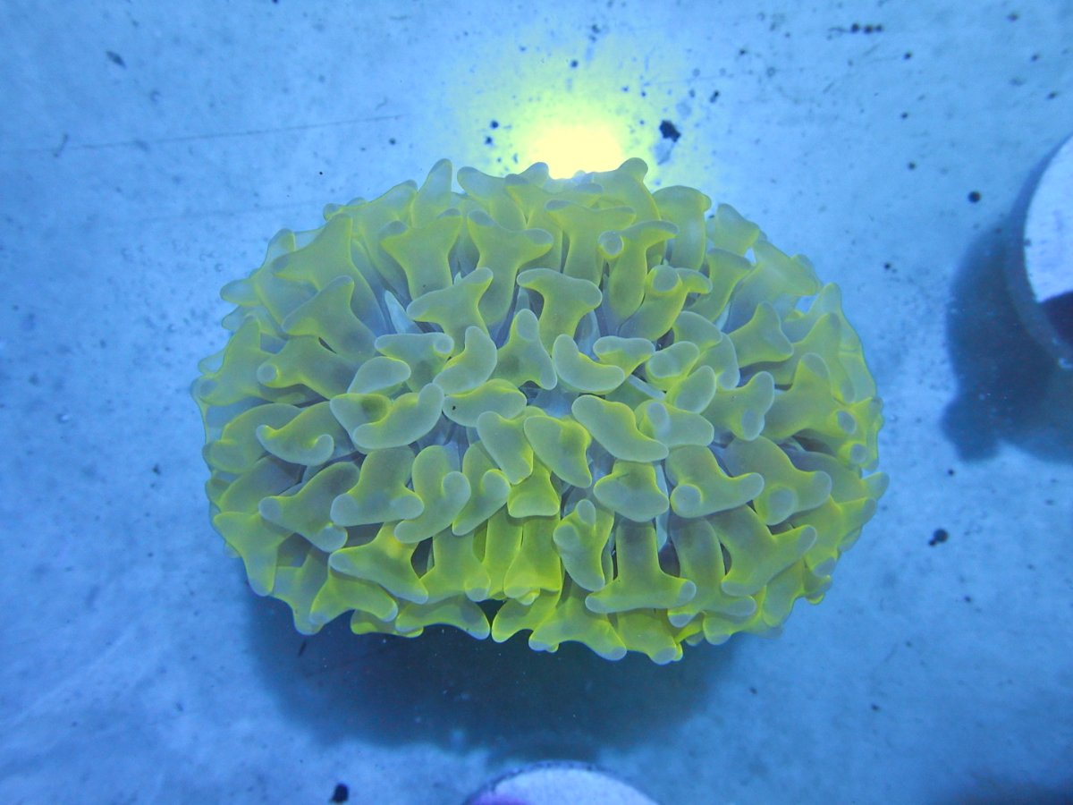 DSCN2868.JPG