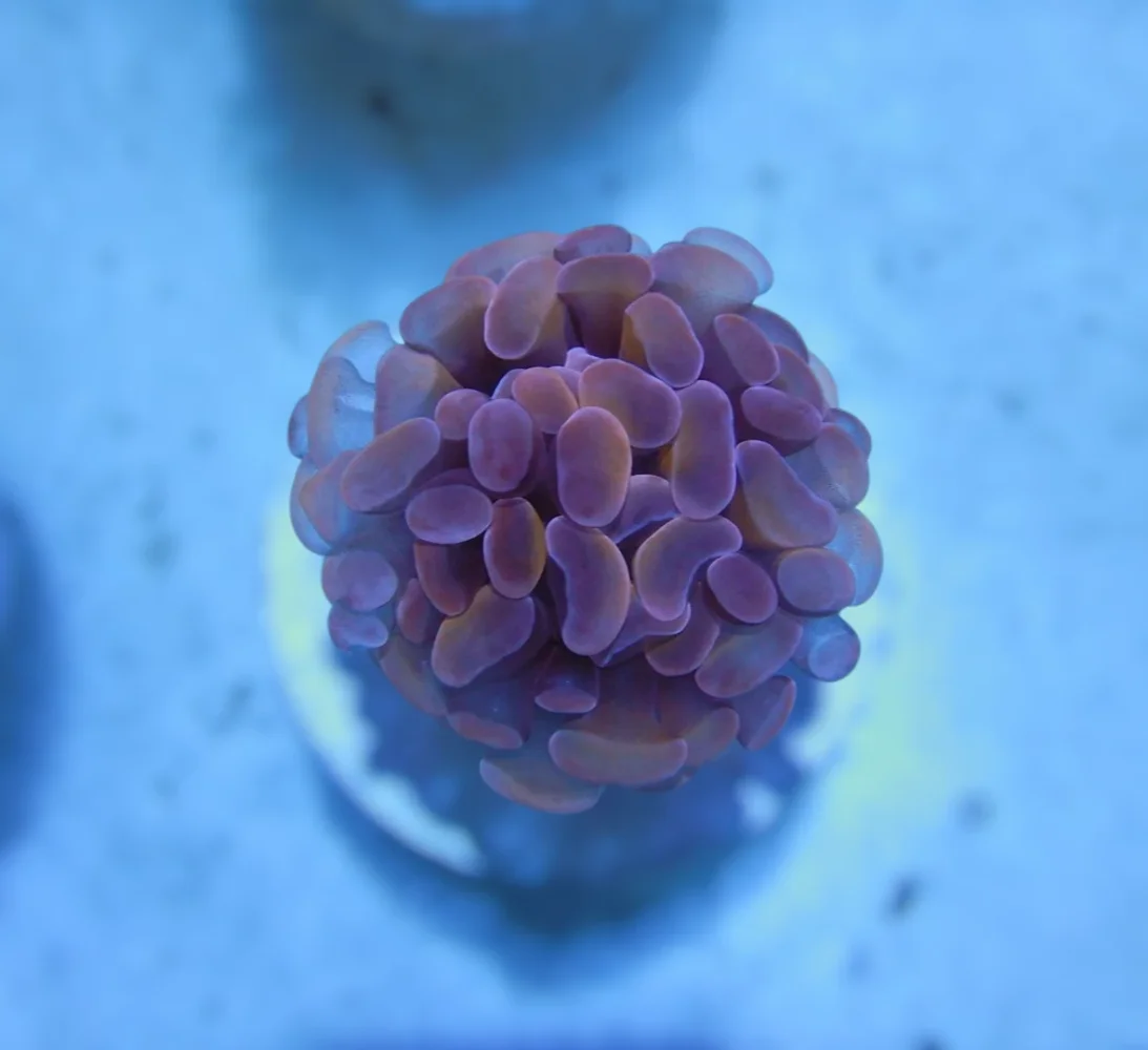 DSCN2878.JPG.webp