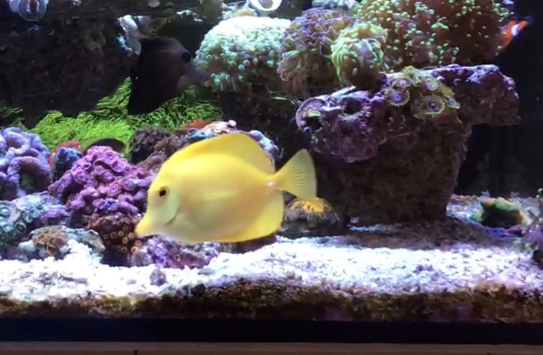 E31D9D4F-181D-4517-87F3-D551B0A09AF4.jpeg