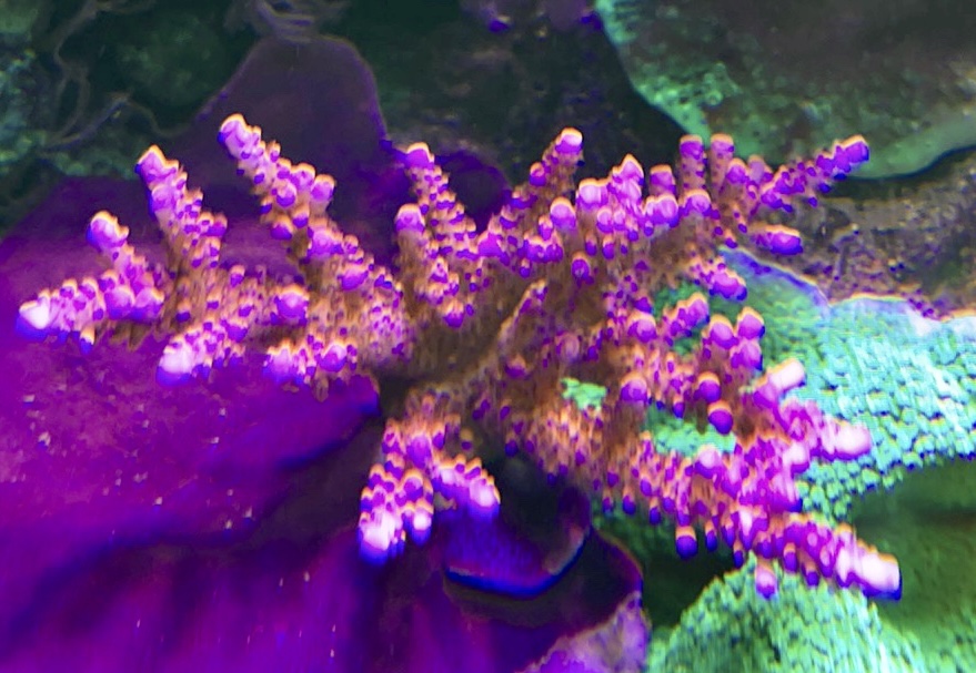 E7FB154D-6355-4078-9B33-285B4EA0253A.jpeg