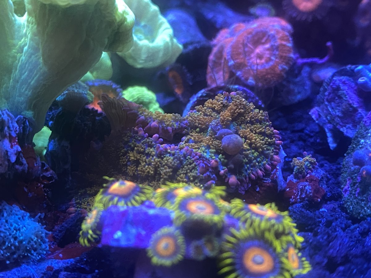 E95D7042-4E17-440F-86E8-916D10C03106.jpeg