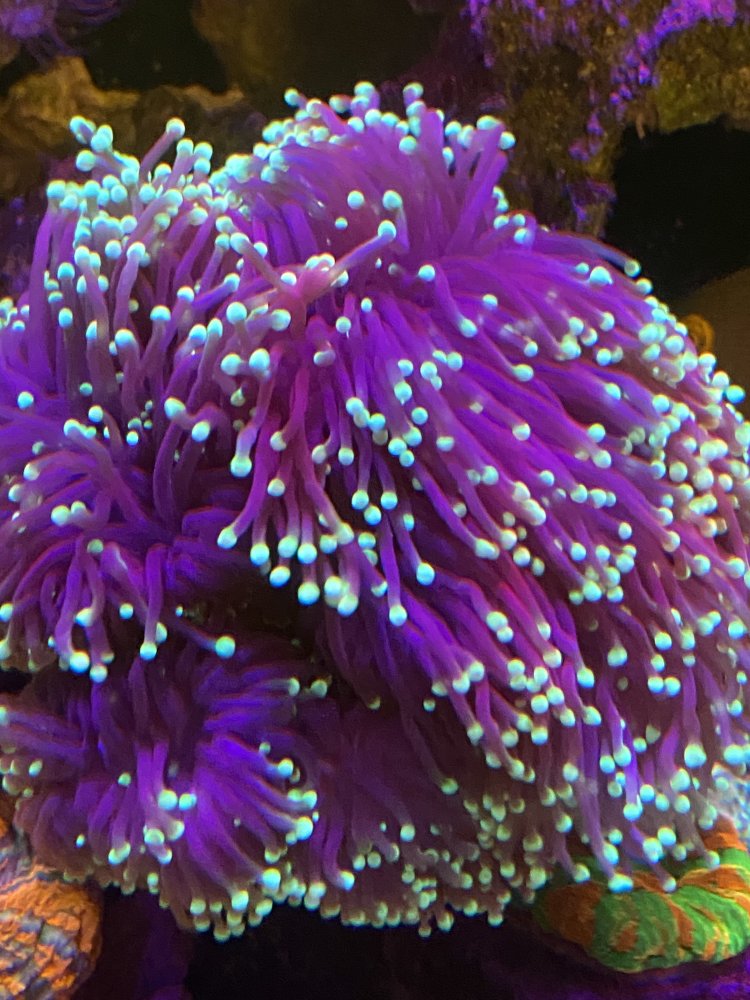 EC32E27D-595D-4CF2-96B9-F569937AB040.jpeg