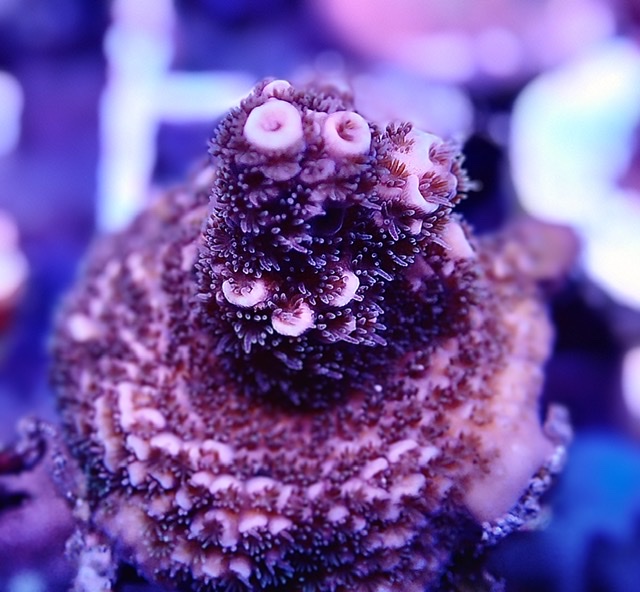F418D08B-3D28-4318-9D05-16995D397FA1.jpeg