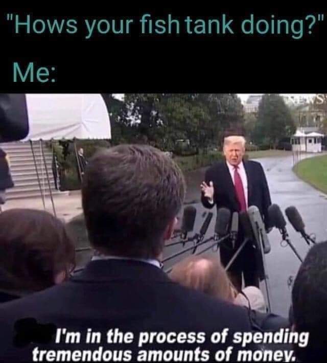 FB_IMG_1597008393936.jpg