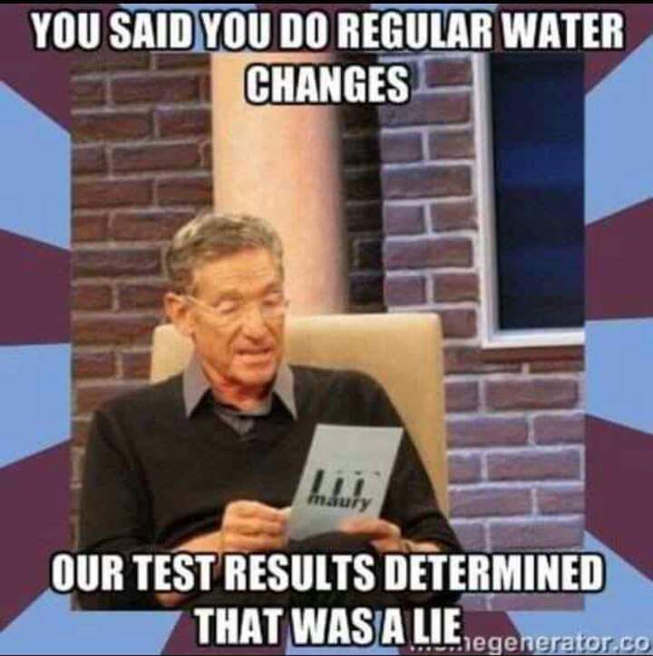 FB_IMG_1597089429752.jpg