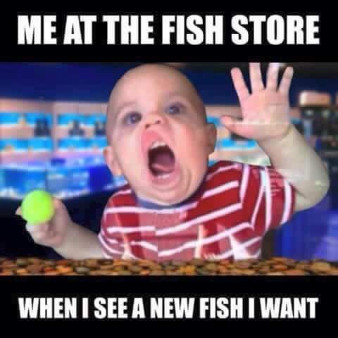 FB_IMG_1598211530195.jpg