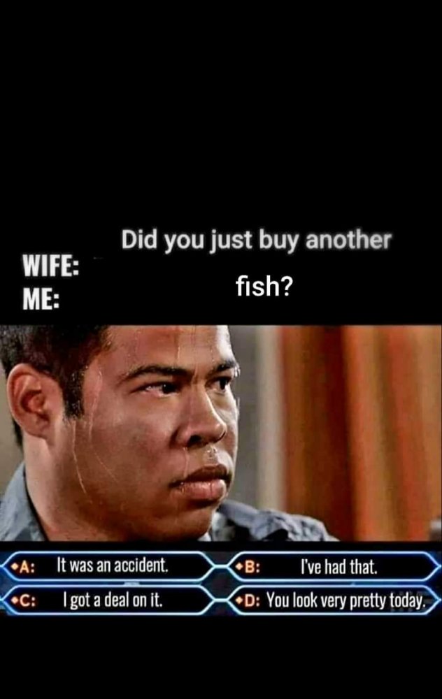 FB_IMG_1598806937413.jpg
