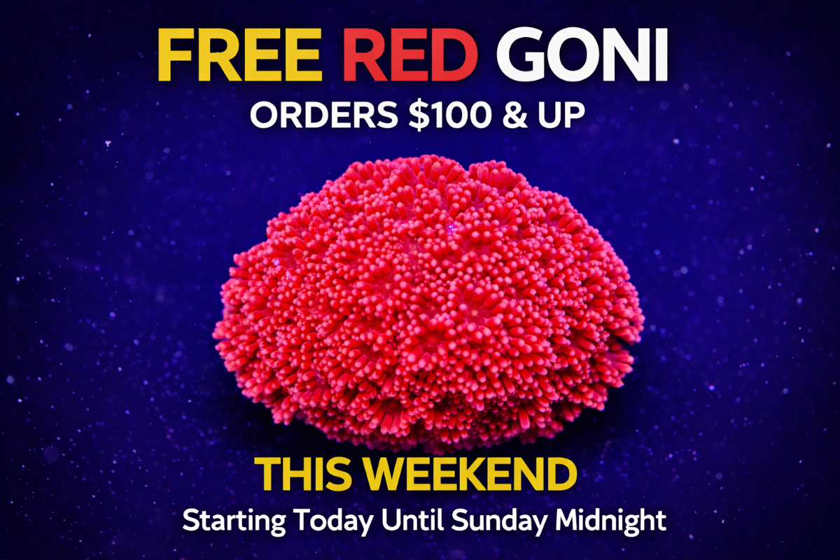 file_0000000067b471f5b20bd11968b3029a.png