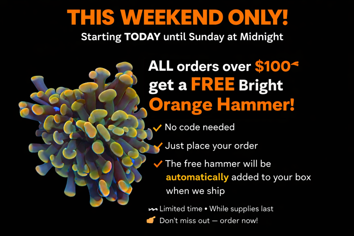 file_00000000860c71f8b54b1af2e4b7f086.png