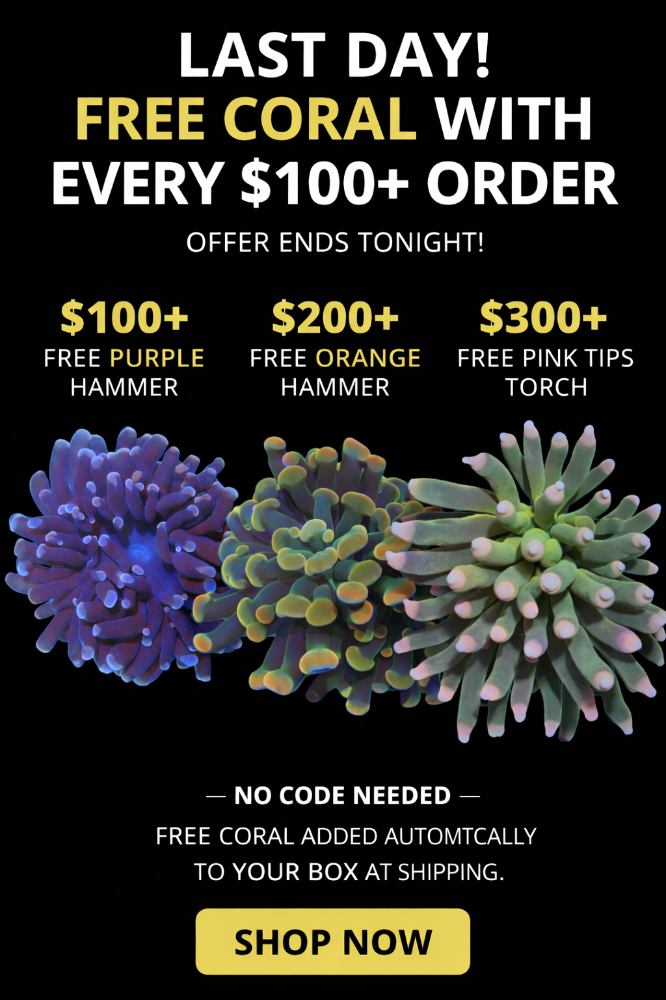 file_00000000f09871f5b08603d1f3d9c2f0.png