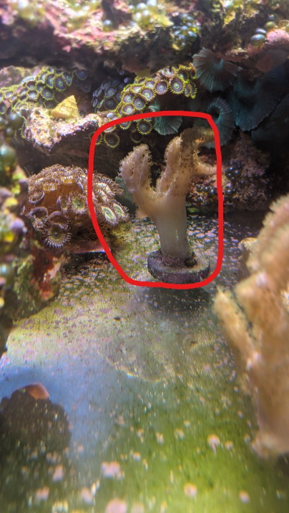 Finger lEather.jpg