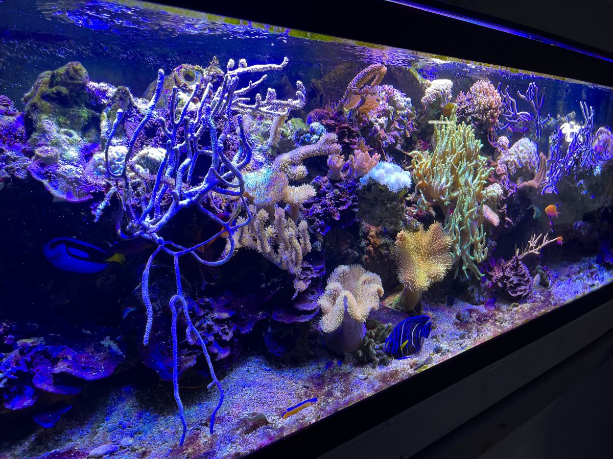 FTS 1 21.JPG