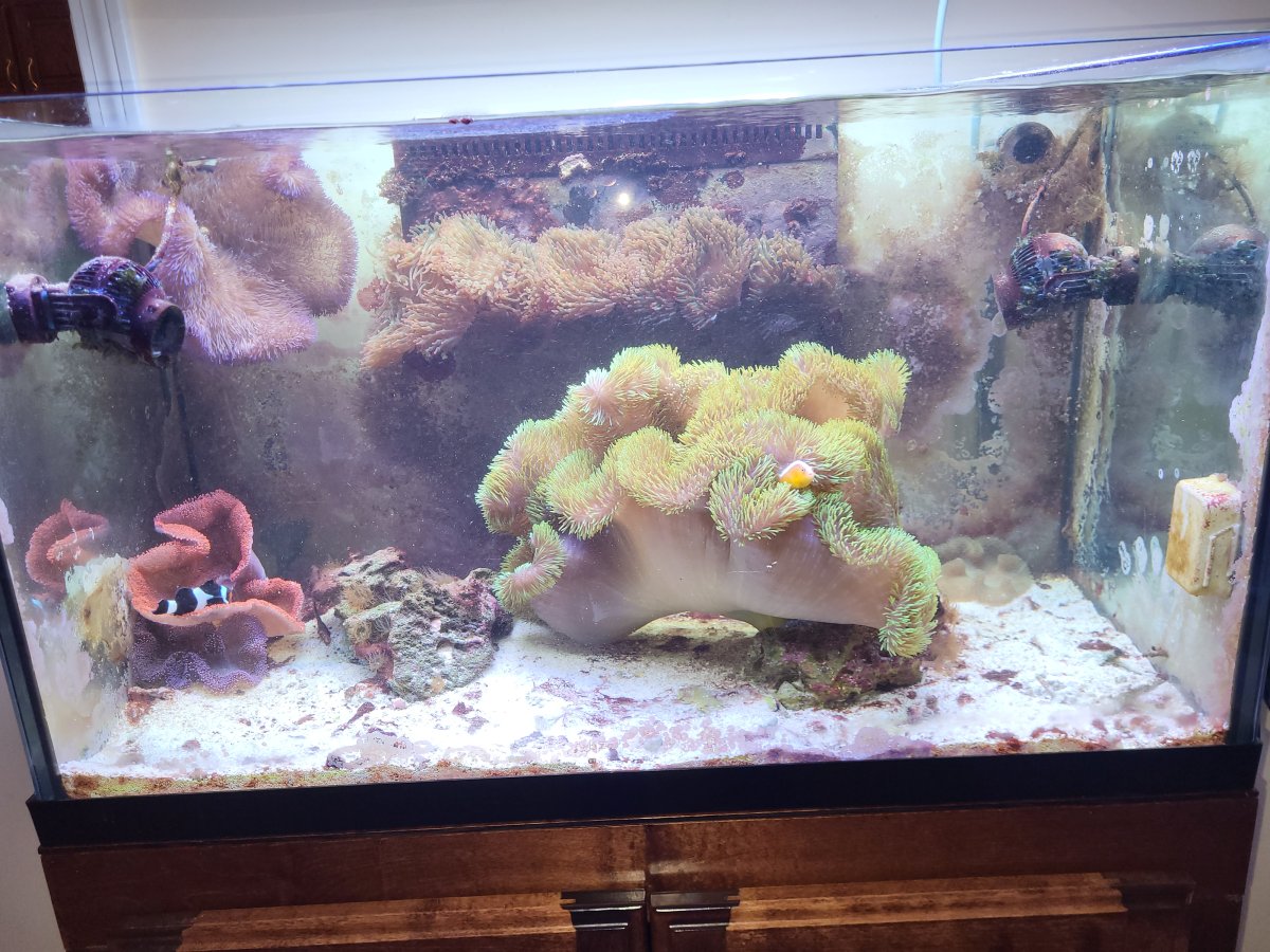 full-tank.jpg