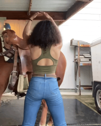 giphy (6).gif