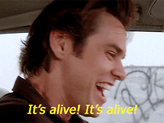giphy (7).gif