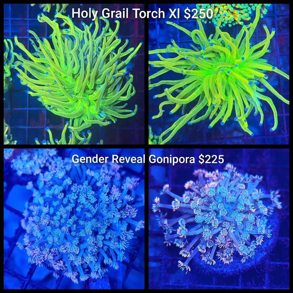 GridArt_20260119_191726016.jpg