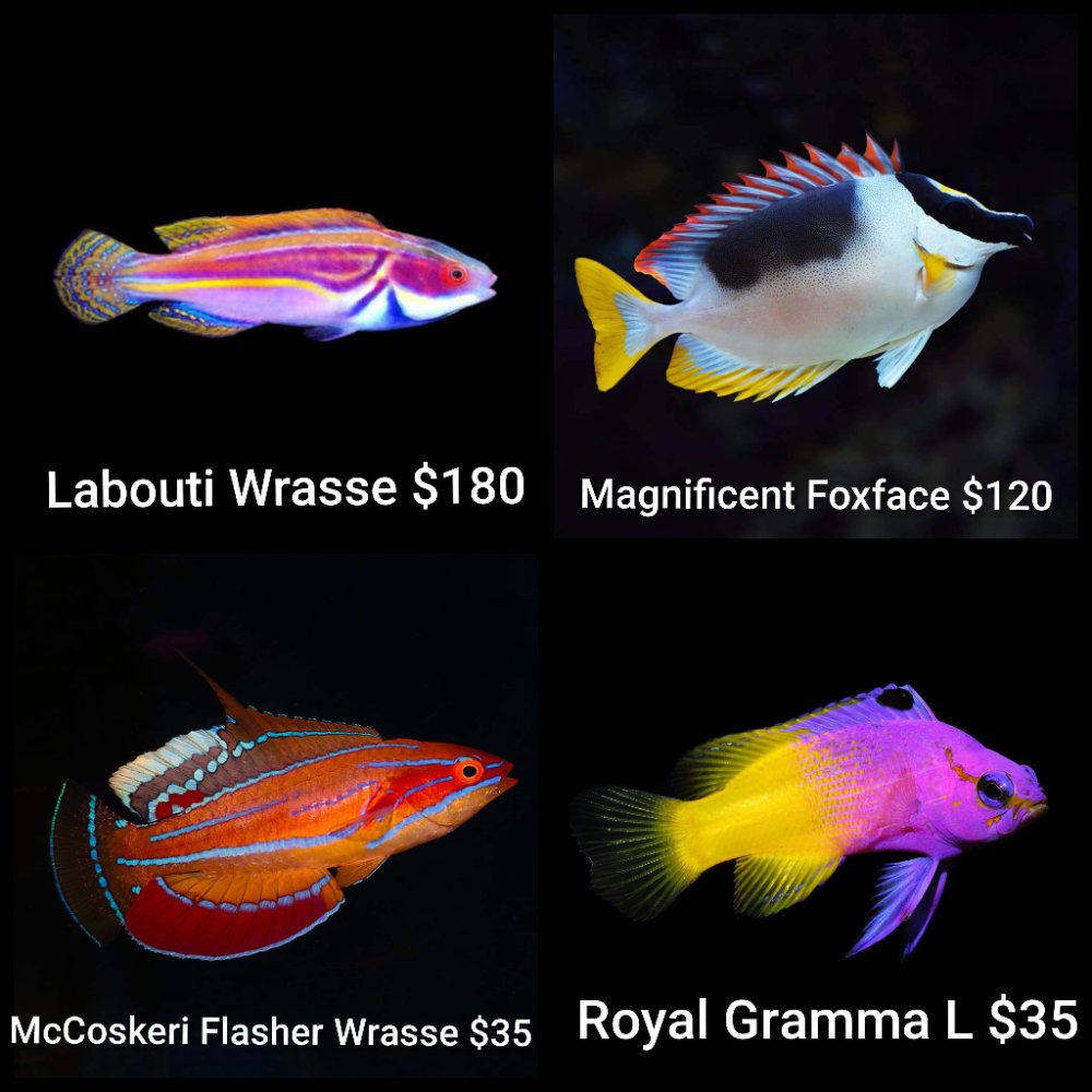 GridArt_20260302_232119872.jpg