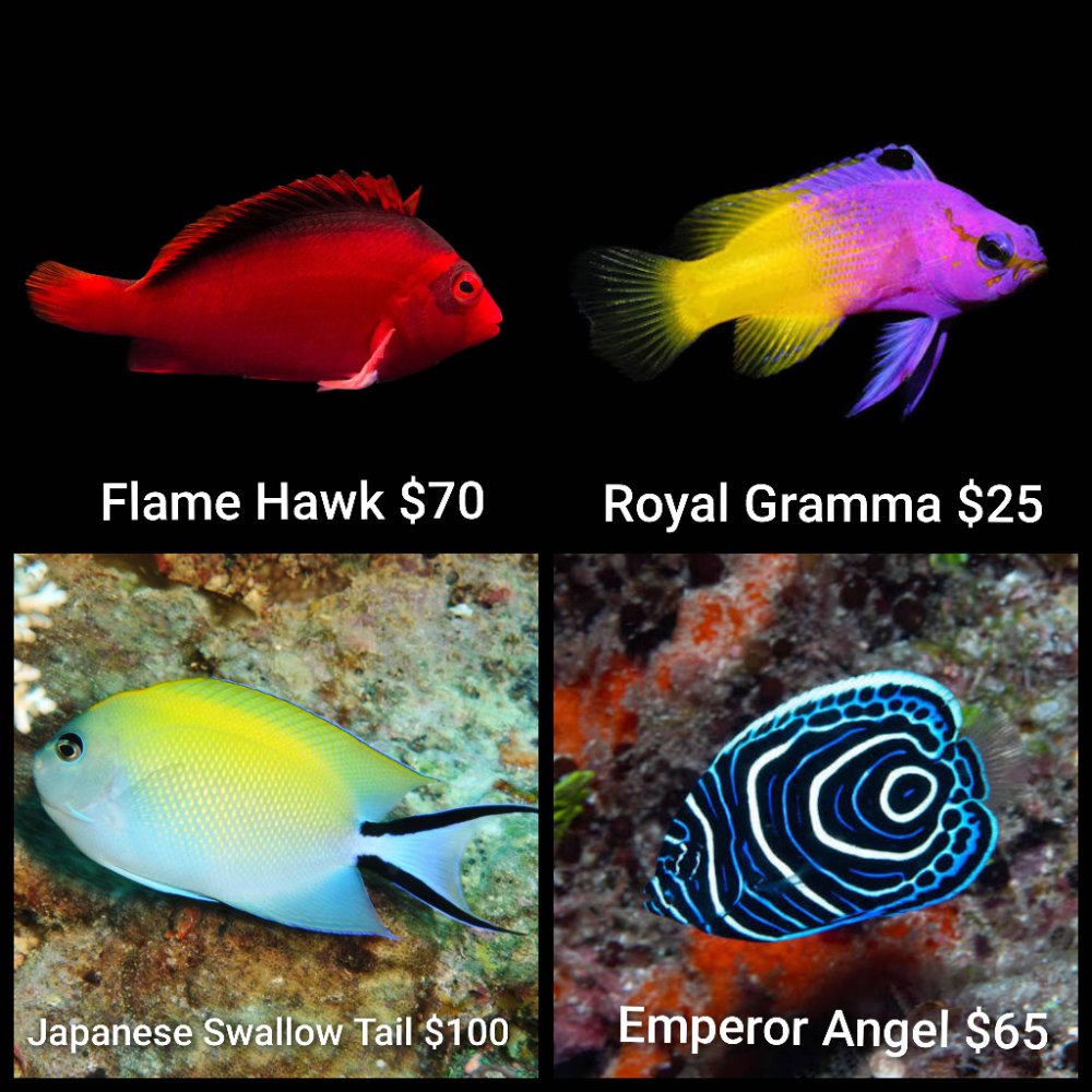 GridArt_20260310_011209170.jpg