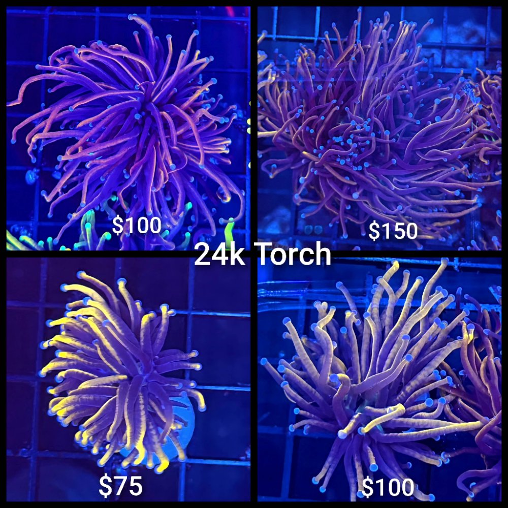 GridArt_20260324_223055994.jpg