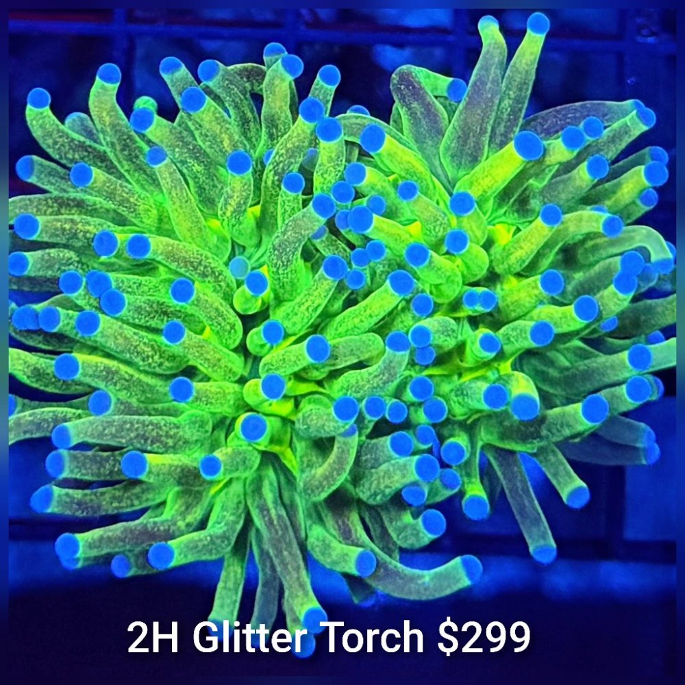 GridArt_20260324_224454134.jpg