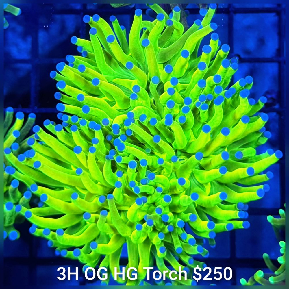 GridArt_20260324_224643214.jpg