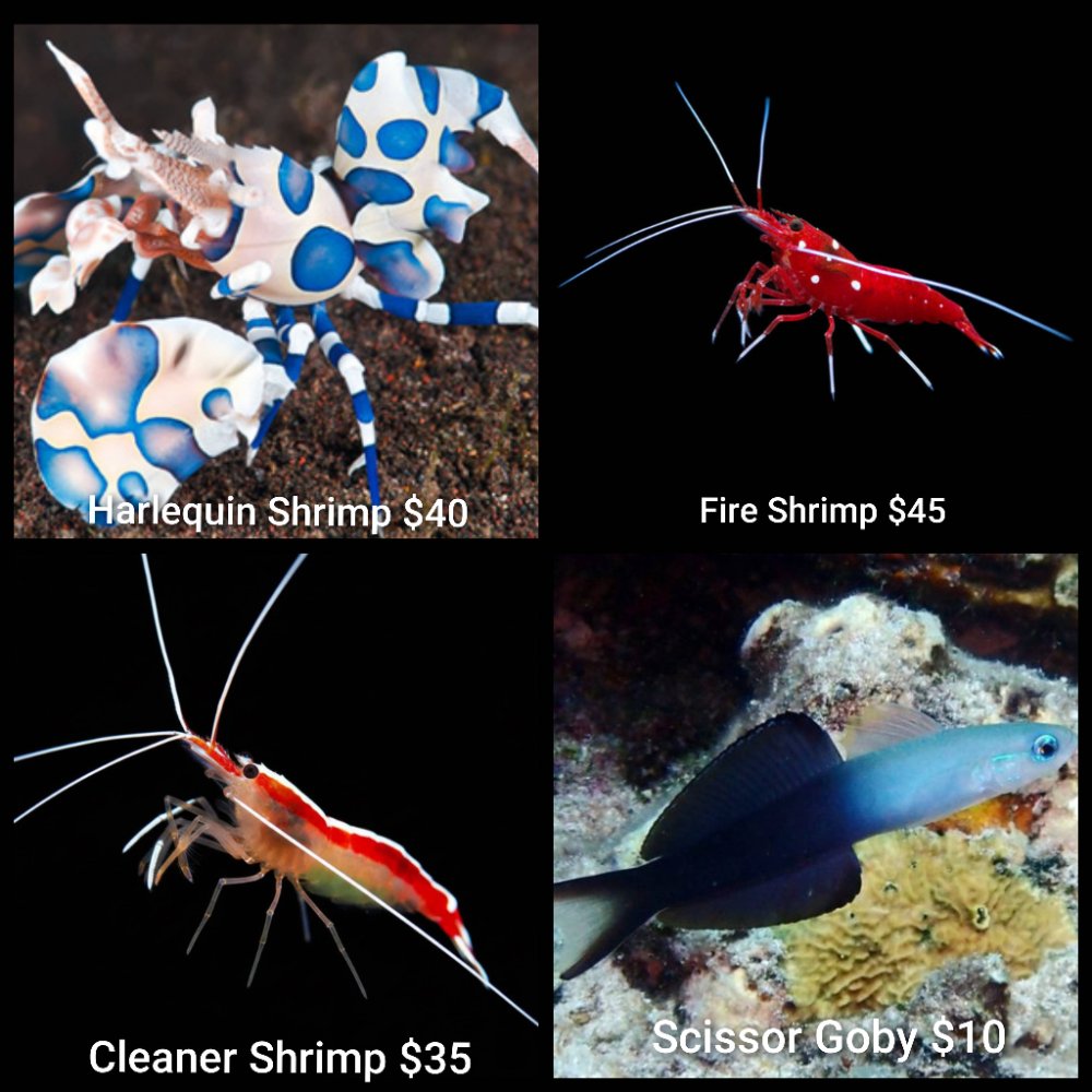 GridArt_20260406_231822651.jpg