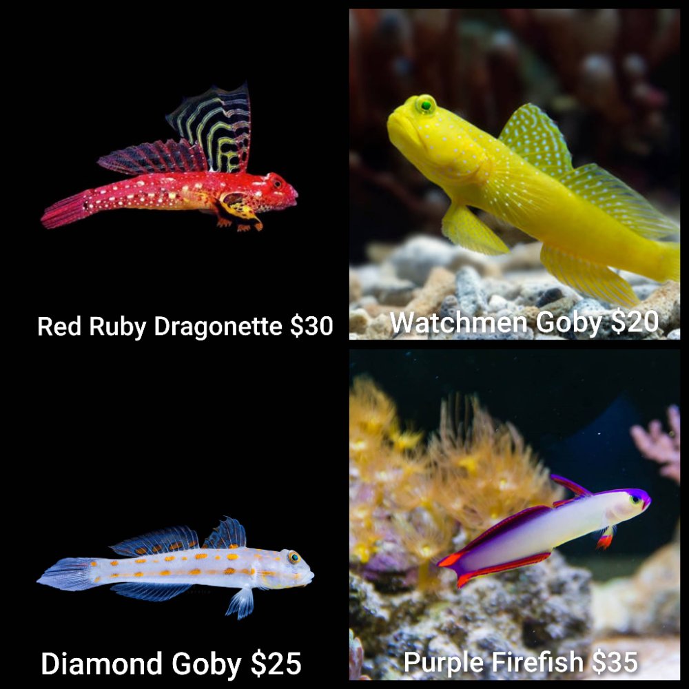 GridArt_20260406_233817963.jpg