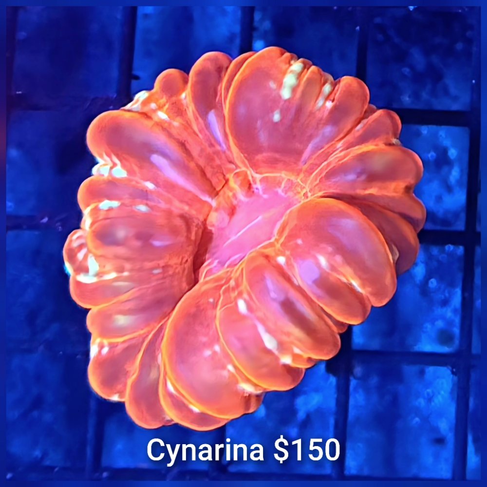 GridArt_20260407_210022742.jpg