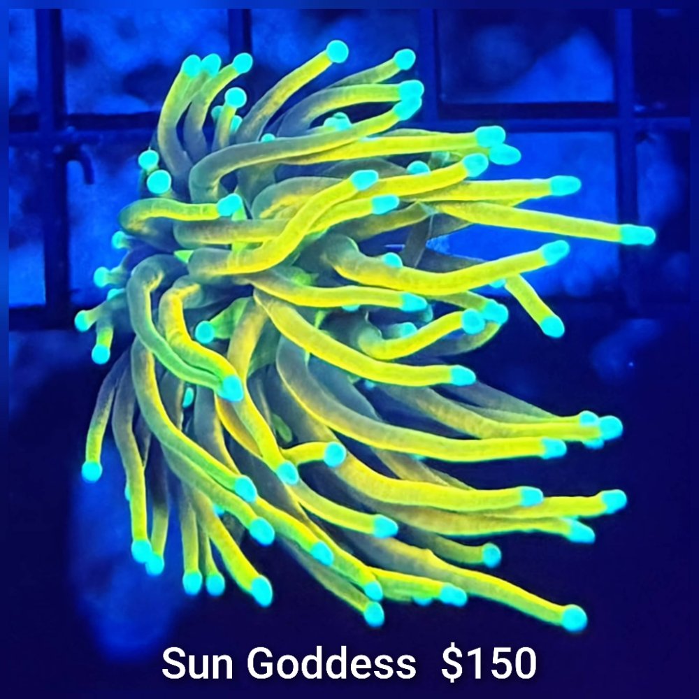 GridArt_20260407_210839979.jpg