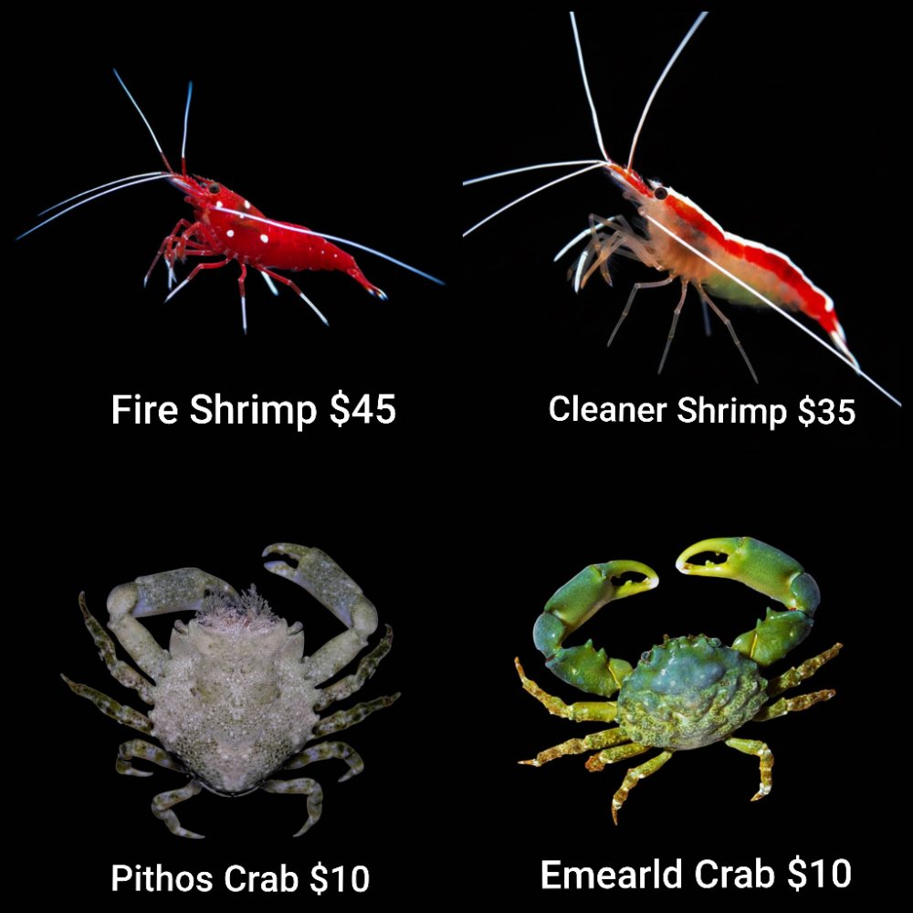 GridArt_20260420_225225680.jpg